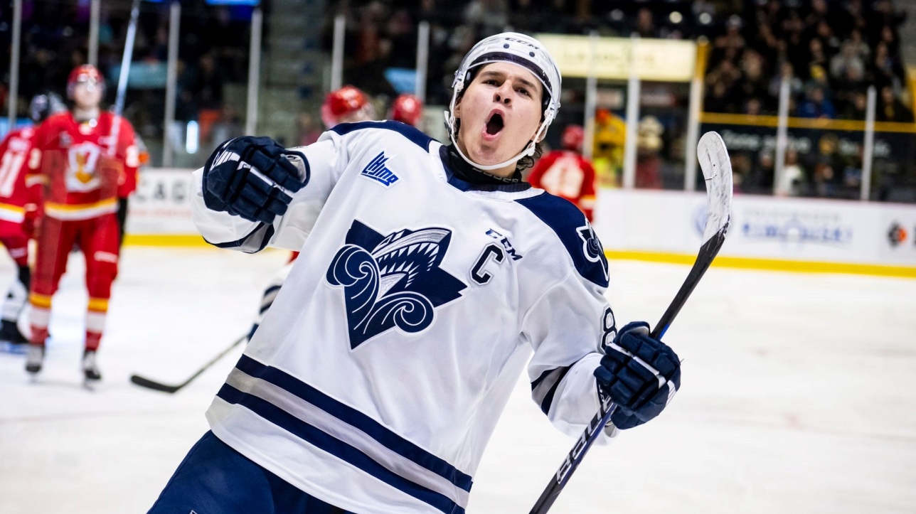 Forward Jacob Mathieu Commits to Northeastern – The Northeastern
